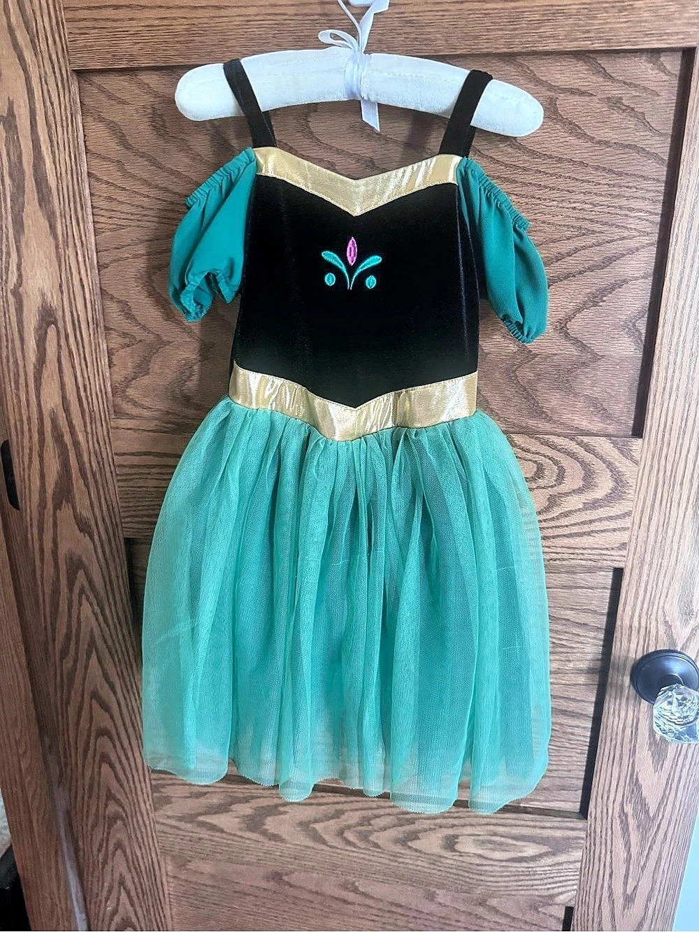 Disney Anna Coronation Costume Dress Frozen Halloween or Cosplay
